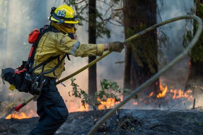 California wild fire scorches 360,000 acres - an area larger than Phoenix