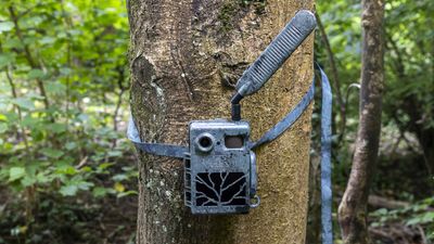 Zeiss Secacam 7 review: the perfect trail camera?