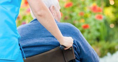 Aged home care services coming under federal watchdog's microscope
