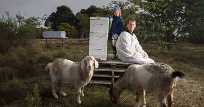 'It's inevitable': deadly mite on its way will change industry