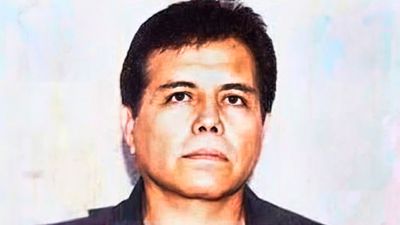 Drug lord 'El Mayo' was betrayed by a son of 'El Chapo' and turned in after deal with U.S. authorities