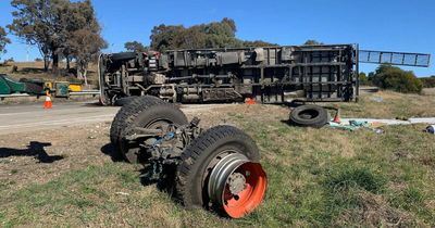 Miracle escape for four young women after crash closes Federal Highway