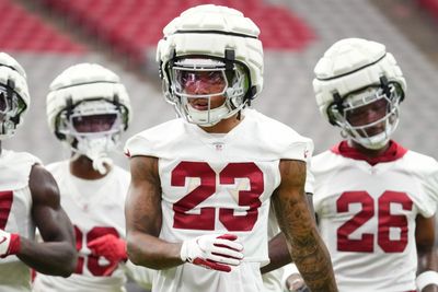 Cardinals’ NFC West rivals have most expensive training camps for fans