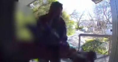 Tradie accused of headbutting unhappy customer in 'bizarre' attack