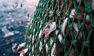 Scottish trawler owner could lose state subsidies over Irish fishing incident