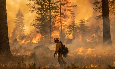 Wildfire smoke may increase the risk of dementia, study finds