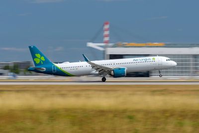 Aer Lingus flight forced to make emergency landing in France after couple’s mid-air brawl