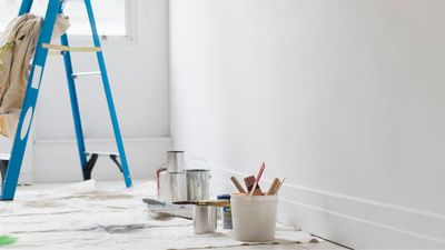 Six reasons to use low VOC paints – experts reveal why they're better for you, your home and the environment