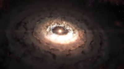 The building blocks of life can form rapidly around young stars