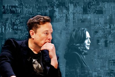 Prof: Musk creates "recipe for disaster"