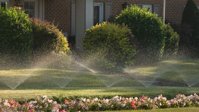 The most common HOA watering violations – and how to avoid them in your yard