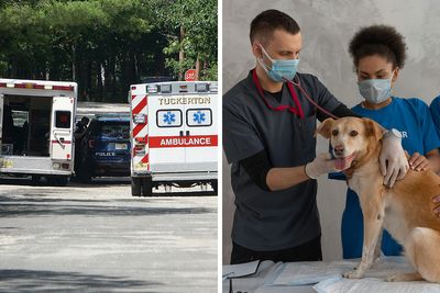 “I Can’t. I’m Tired”: 30 Professionals With Terrible Mental Health Confess What Job They Have