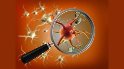 Chandipura virus infection detected in Rajasthan, number of cases rise to 51 in Gujarat: Know how does this virus spread?