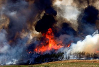 Croatia firefighters report toughest day. North Macedonia could seek NATO help against wildfires