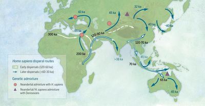 Scientists find out how early humans survived cold when they moved out of Africa