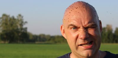In defence of midges