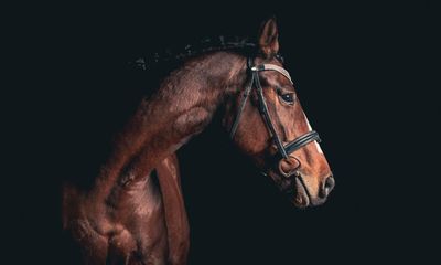 ‘The horses don’t choose to take part’: should equestrian sports be removed from the Olympics?