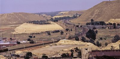 Bacteria and plants could help clean up toxic waste from gold mines – South African study