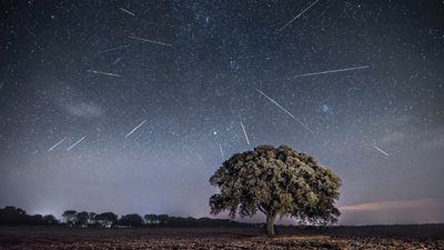 Perseid meteor shower 2024: What it is, where to see it, and how to watch