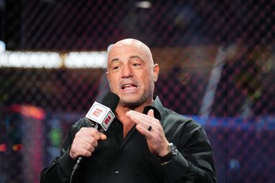 Joe Rogan thinks Harris can beat Trump