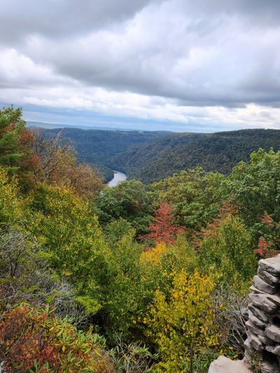 AccuWeather Predicts Warm Autumn Across U.S., Severe Weather And Wildfire Risks Loom‌ Fall Forecast: Warm Autumn To Bring ‘Second Summer’ To Much Of The US ‌