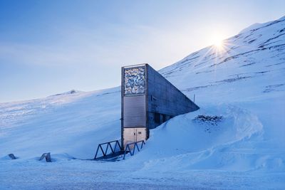 Scientists want a seed vault on the Moon