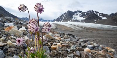 From microbes to mammals: we tracked the rapid rise of new ecosystems as glaciers retreat and ice sheets melt