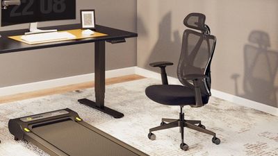 FlexiSpot C5 ergonomic office chair review