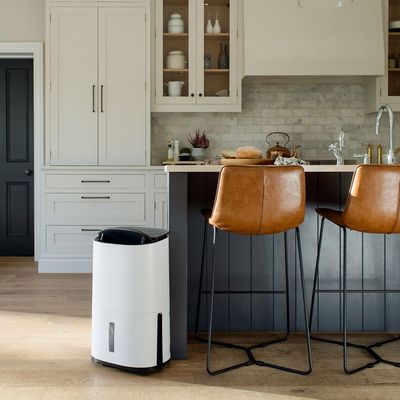 Does an air purifier cool a room? The experts share what they can and can't do for those looking to beat the heat this summer
