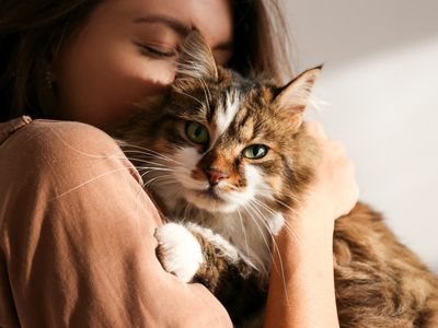 Woman shocks husband after saying she’d give up having children if her cat could live forever