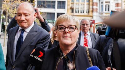 Senator labelled a villain in Higgins' 'fairytale'