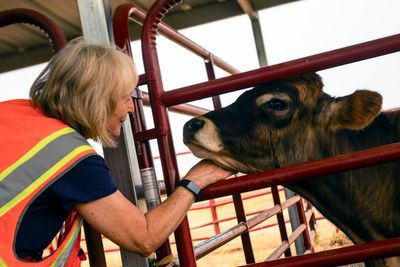 Behind the lines of red-hot wildfires, volunteers save animals with a warm heart and a cool head