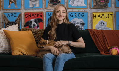 Amanda Seyfried Lined Up To Host NBCU Local Clear the Shelters Special