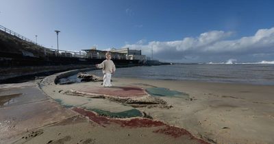 Fragments of Newcastle's map of the world pool re-emerge