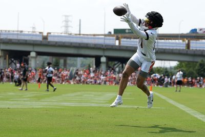 Rookie report: Bengals first-year players standing out in training camp