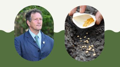 Monty Don shares his gardening tip for bagging 'dozens of free plants' for years to come