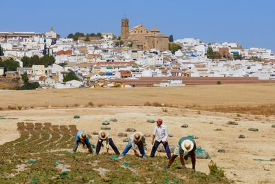 Sherry: the frumpy wine ripe for a sexy makeover