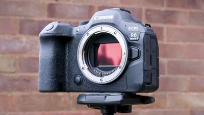 Rumored Canon EOS R6 Mark III could be announced in 2024, ready to take on the Nikon Z6 III