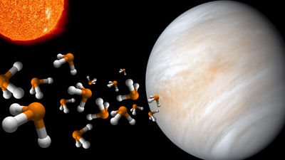 Venus may be able to support life, new atmospheric evidence suggests