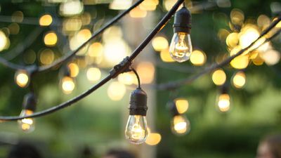 Why aren't my solar lights working? 5 easy fixes, plus why your lights should always face south