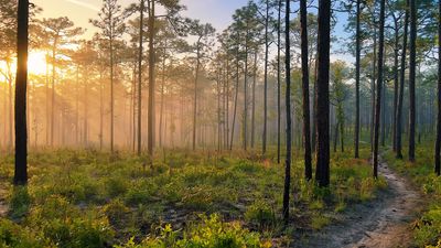 Florida's beauty and biodiversity is captured in a photography contest focused on conservation