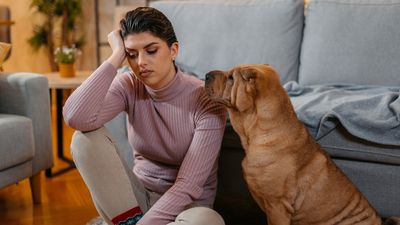 Struggling with being a dog owner? Trainer shares five things to remember when life feels hard