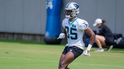 Panthers bring back rookie safety