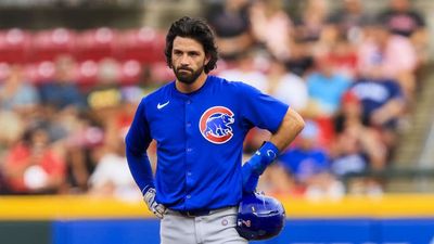 Dansby Swanson Showed Up to Wrigley Field in Full Support of USWNT