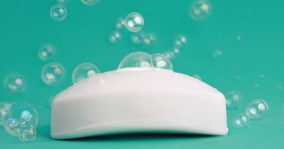 Ask Fuzzy: How does soap work? Here, we dish the dirt