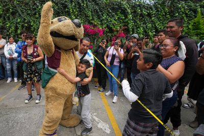 Meet Wisin — Mexico’s latest viral meme and the 'puppy luchador'