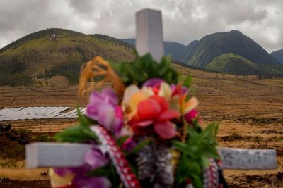 'We're going to survive and it's going to come back': A year after Maui wildfire, survivors press on