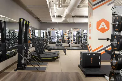 Luxury gyms are changing how we exercise—and how we live