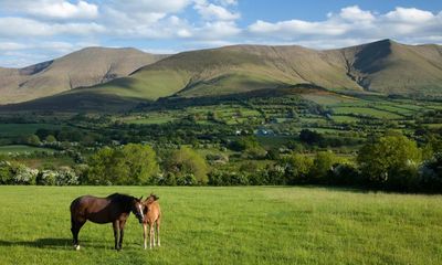 Heart, Be at Peace by Donal Ryan review – old grudges die hard in rural Ireland