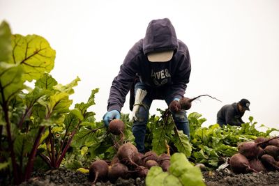 Rich, western countries face a stark choice: 6-day workweeks or more immigration, top economist warns